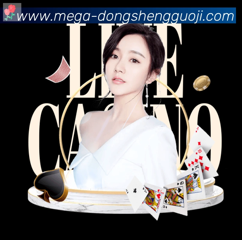 东升国际棋牌荣誉
